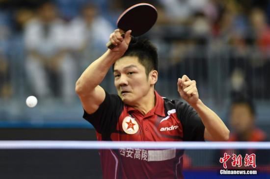 资料图:樊振东。<a target='_blank' href='http://www.chinanews.com/'></p>中新社记者 武俊杰 摄 点击进入下一页