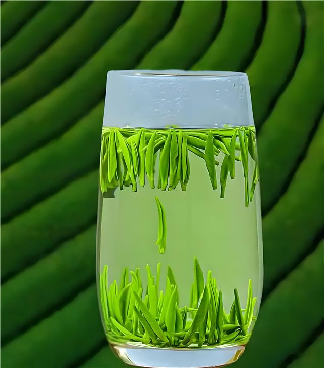 10050598343003718_156.jpg
