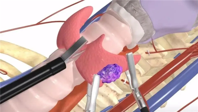 1935011335470965_176.png 1935011335470965_176.png